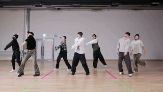 GOT7 갓세븐 - PYTHON DANCE PRACTICE MIRRORED