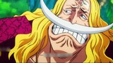 One Piece: Have you ever seen a reluctant white beard? And Luffy and the others