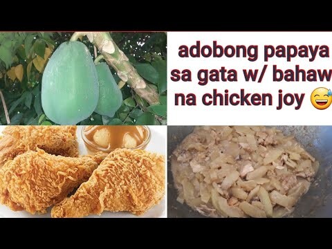 Adobong papaya sa gata w/ bahaw na chicken joy 😅