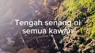 betul bila sihat semua kawan😔