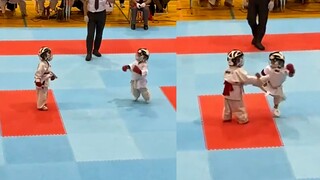 Đang cố gắng để dễ thương nhau đến chết? 2 bé dễ thương thi đấu Taekwondo, có bé dễ thương nhảy qua 