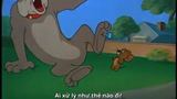 Tom và Jerry - Thật là tức giận(Fit to be Tied, Viet sub)