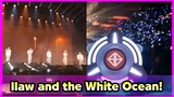 Ilaw and its WHITE Ocean sa Day 1 of SB19 Pagtatag Manila Concert!