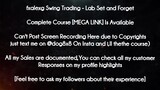 fxalexg Swing Trading  course - Lab Set and Forget  download