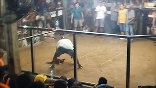 Dec 14 2024 (Square Garden Cockpit Arena 3 wins)