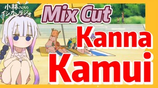 [Miss Kobayashi's Dragon Maid]  Mix cut |  Kanna Kamui