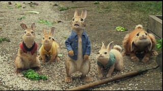 PETER RABBIT: full movie:link in Description