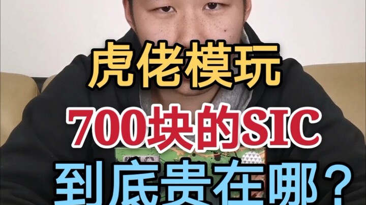 700块的SIC到底贵在哪？好  活  当  赏 （搞笑风格测评）