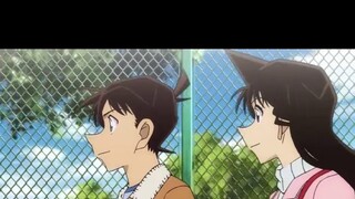 file.0 is out, the fun of Shinran fans is here, 0 is Shiho, recycling love is 0, hahahahahahahahaha,