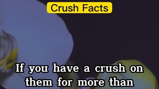 Crush Facts