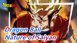 Dragon Ball|[Epic compilation] Fighting is the nature of Saiyan!