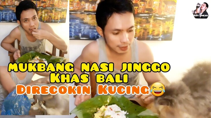 MAKAN NASI JINGGO KHAS BALI - Makan Nasi Kucing bareng kucing