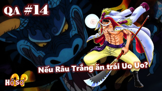 [QA#14]. Nếu Râu Trắng ăn trái Uo? Top hải tặc mạnh nhất nếu Bigmom và Kaido tử trận?