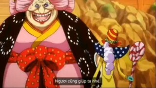 Maro chạm mặt Bigmom #onepiece