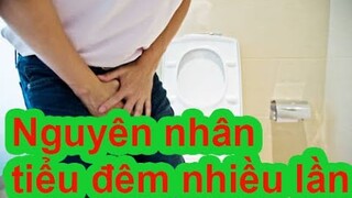 Nguyên nhân dẫn đến tiểu đêm nhiều lần