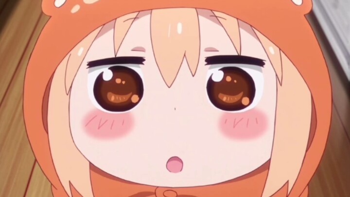 Are There Still People Willing To Protect Umaru-Chan?