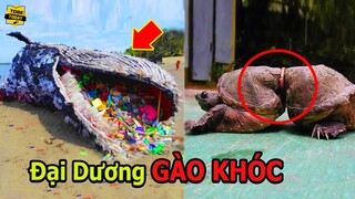 🔴Những Điều Kinh Khủng Và Đáng Tiếc Nhất Mà Con Người Gây Ra Cho Đại Dương