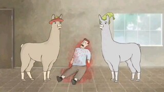 Llamas with Hats Full Episode