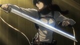 Mikasa vs Annie