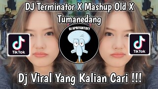 DJ TERMINATOR X MASHUP OLD X TUMANEDANG DJ DANVANTA VIRAL TIK TOK TERBARU 2023 YANG KALIAN CARI !