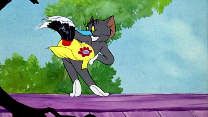 Tom & Jerry - Flirty Birdy