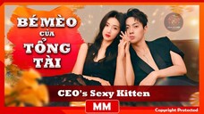 The CEO's Sexy Kitten - Phụ đề tiếng Việt