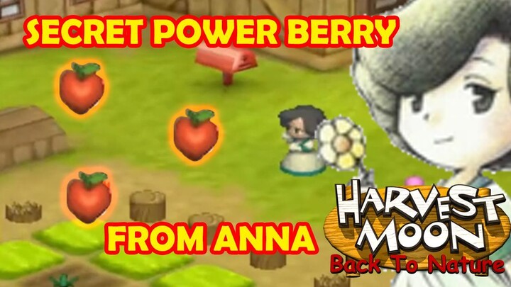 POWER BERRY RAHASIA DARI ANNA