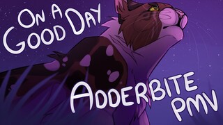 On a Good Day - Adderbite PMV