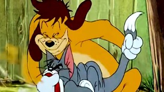 Tom dan Jerry Tom dan Jerry hidup rukun