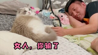 自从有了猫，老公的温柔都给了猫，女人你终究是输了