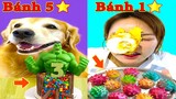 Thú Cưng TV | Gâu Đần và Bà Mẹ #17 | Chó Golden Gâu Đần thông minh vui nhộn | Pets cute smart dog