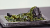 DIY Miniature | Making An Amazing Landscape