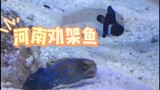 这波属于猛男必看