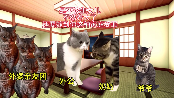 【Cat meme】Grandpa comes to diss grandpa and grandma who favor boys over girls