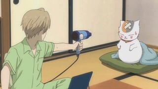 [Natsume Yuujinchou Roku] Hari ini adalah Sansan Rambut Peledak