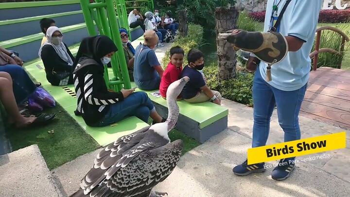 KAMU BISA LIHAT BURUNG SEDEKAT INI, JIKA BERKUNJUNG KE ECO GREEN PARK
