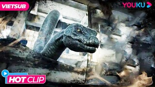 [HOTCLIP] Cái Kết Của Việc Đập Vỡ Trứng Rắn | Đảo Rắn - Snake Island Python | Phim Lẻ YOUKU