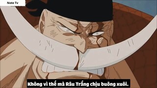 Top 7 Lão Già Trâu Trong One Piece #30- 10