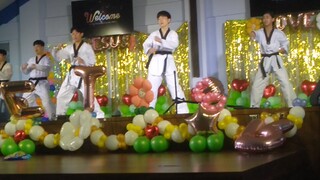 taekwondo performance