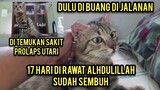 Alhamdulillh Kucing Yang Rahimnya Keluar Sudah Pulang Dari Klinik Mngharukan Saat Dapat Rumah..!