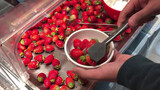 日本草莓自助餐—穷逼留学生吃到扶墙出
