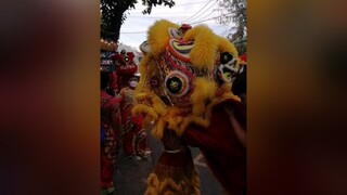 hết giãn cách được đi múa lân nhưng vẫn là nên chú ý phòng dịch hơn đỡ an toàn mualan liondance mualansurong