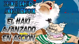 One Piece Fan Animation | El Haki Avanzado en Acción