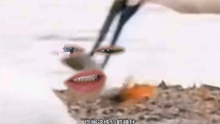 鱼：我犯天条了？