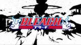 Bleach (Eng Dub) Episode 287