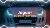 Jaguar Slow Reverb