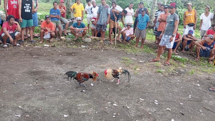 labuyo cross sais dyes ang laban, tari tari lng!!!