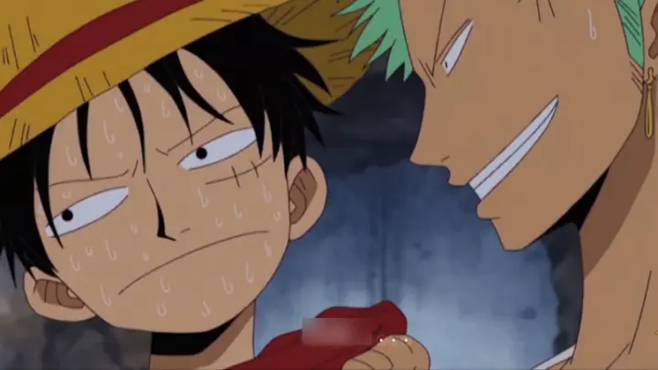 [One Piece] Zoro: My dream is to be a great swordsman and kill this idiot captain.
