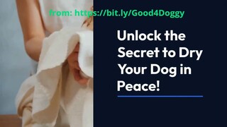 Discover the Secret to Keep Your Doggy Drying in Peace