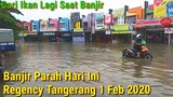 Banjir Parah Regency Tangerang - Cari Ikan Lagi